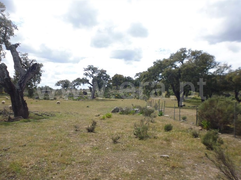 Terreno  Idanha-a-Nova, Aldeia de Santa Margarida - 1423141 - 6