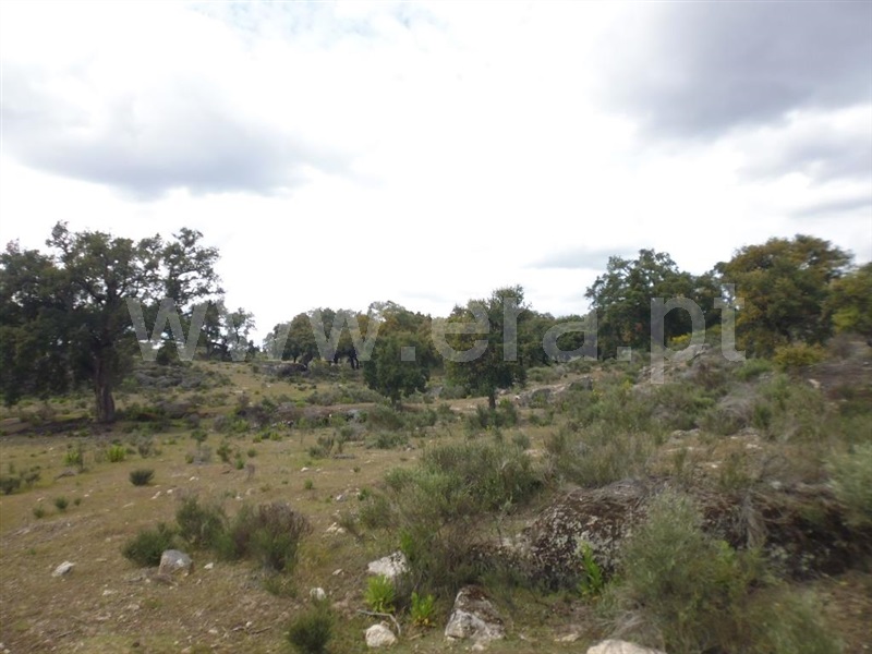 Terreno  Idanha-a-Nova, Aldeia de Santa Margarida - 1423141 - 7