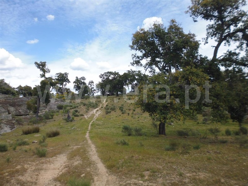 Terreno  Idanha-a-Nova, Aldeia de Santa Margarida - 1423141 - 9