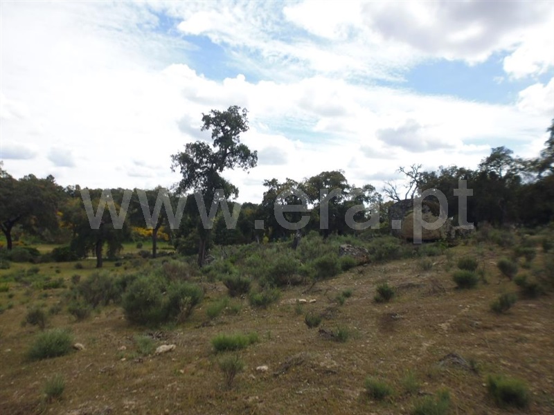 Terreno  Idanha-a-Nova, Aldeia de Santa Margarida - 1423141 - 10