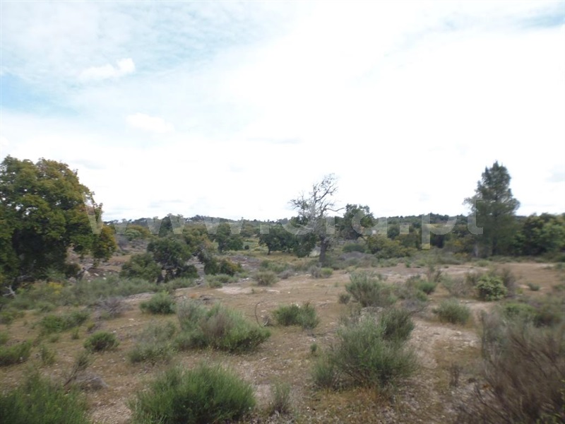 Terreno  Idanha-a-Nova, Aldeia de Santa Margarida - 1423141 - 13