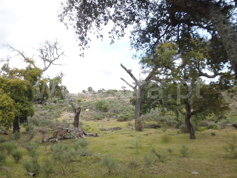 Terreno  Idanha-a-Nova, Aldeia de Santa Margarida - 1423141 - 14