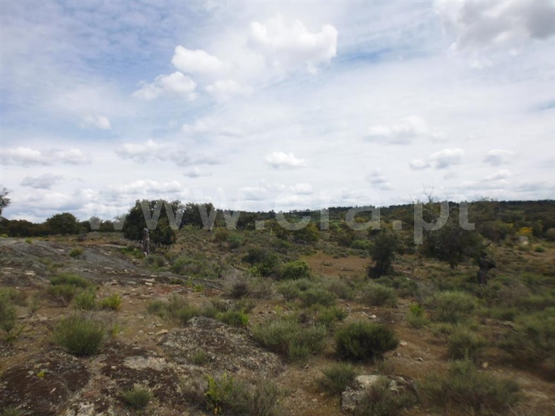 Terreno  Idanha-a-Nova, Aldeia de Santa Margarida - 1423141 - 15