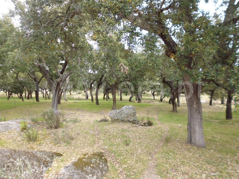 Terreno  Idanha-a-Nova, Aldeia de Santa Margarida - 1423141 - 18
