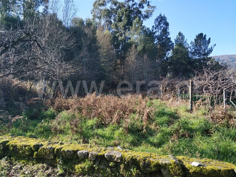 Terreno  Marco de Canaveses, Vila Boa do Bispo - 1062977 - 5