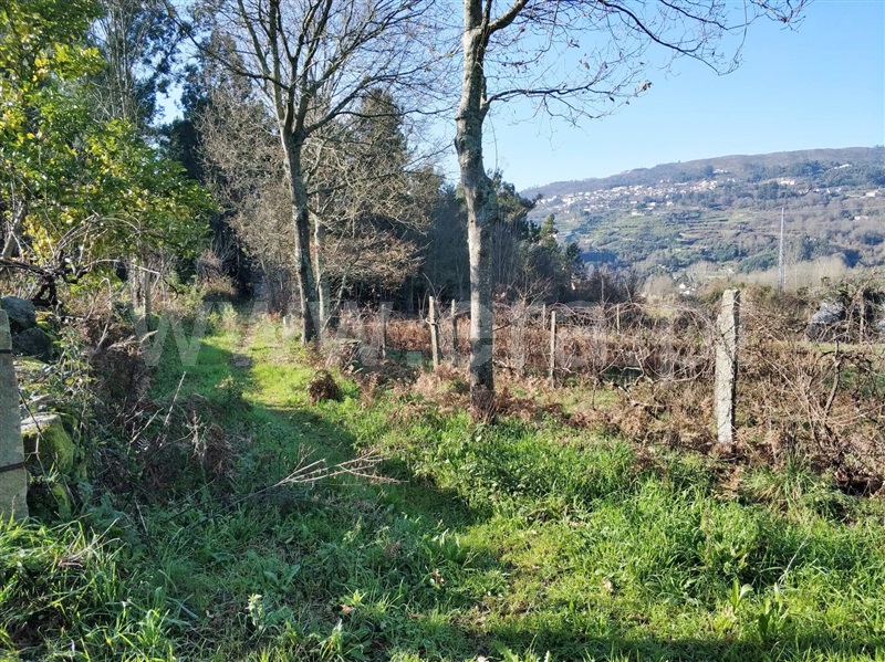 Terreno  Marco de Canaveses, Vila Boa do Bispo - 1062977 - 6