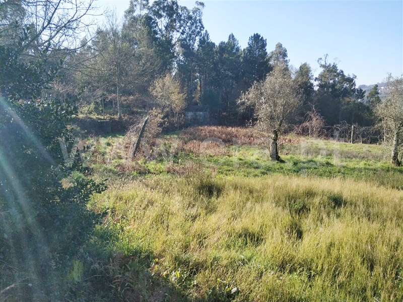 Terreno  Marco de Canaveses, Vila Boa do Bispo - 1062977 - 8