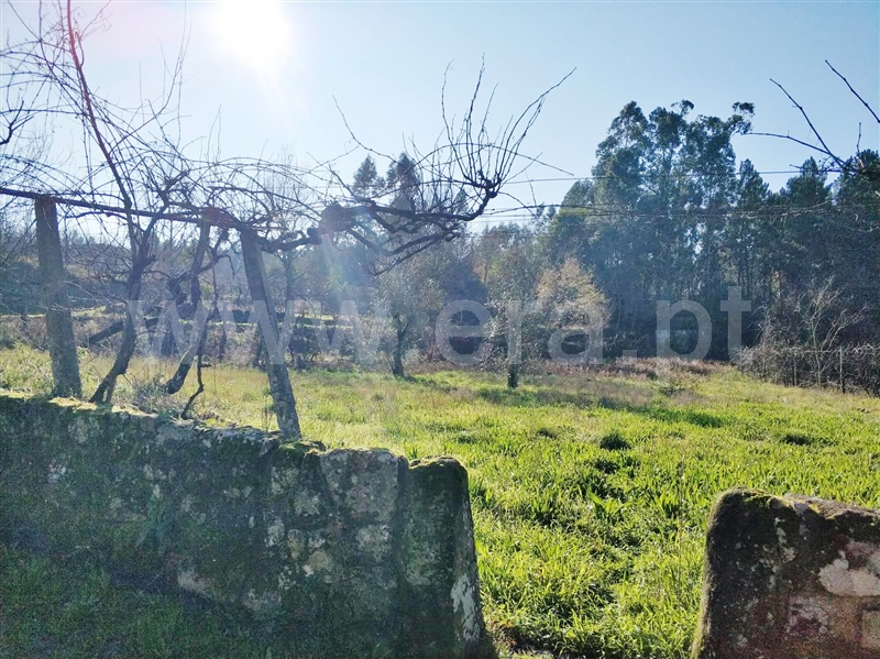 Terreno  Marco de Canaveses, Vila Boa do Bispo - 1062977 - 10