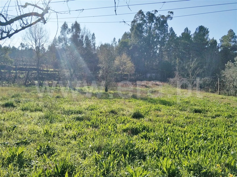 Terreno / Marco de Canaveses, Vila Boa do Bispo