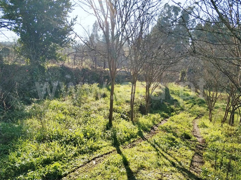 Terreno  Marco de Canaveses, Vila Boa do Bispo - 1062977 - 11