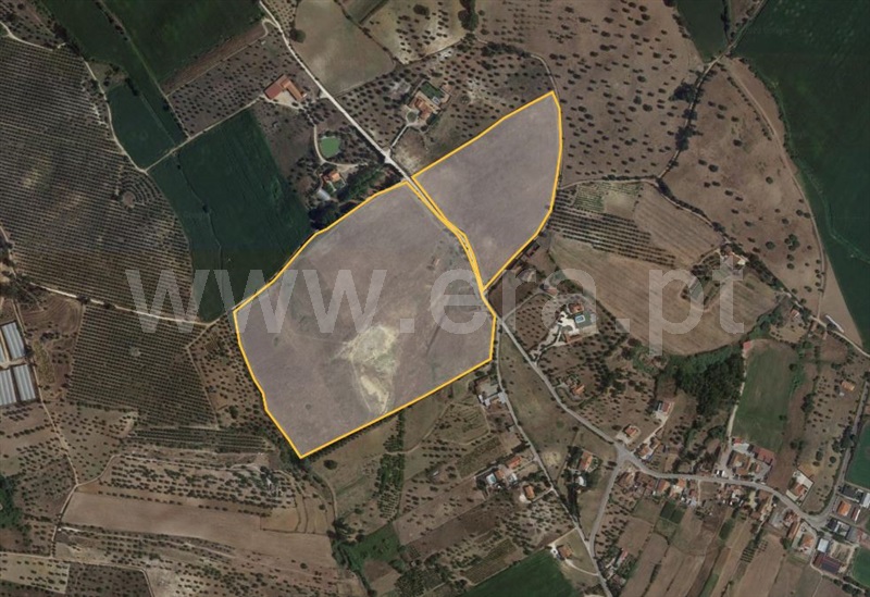 Terreno Misto  Torres Novas, Caveira - 1097368 - 10