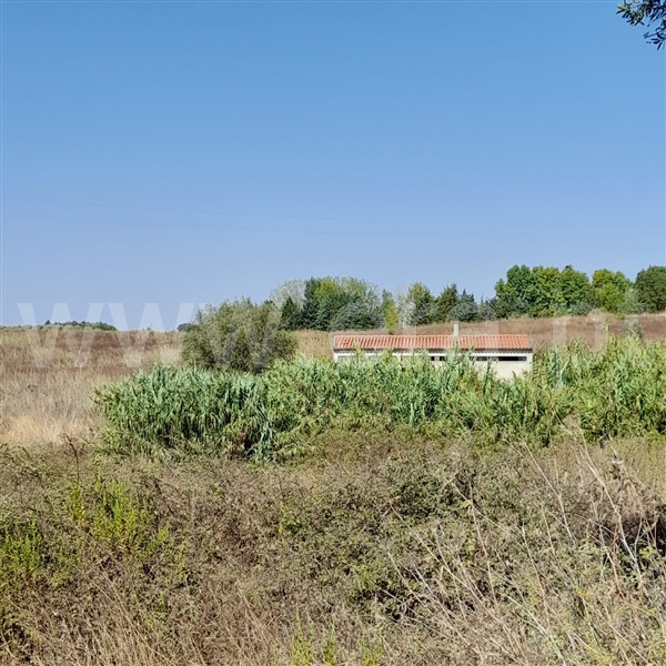Terreno Misto  Torres Novas, Caveira - 1097368 - 5