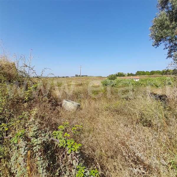 Terreno Misto  Torres Novas, Caveira - 1097368 - 6