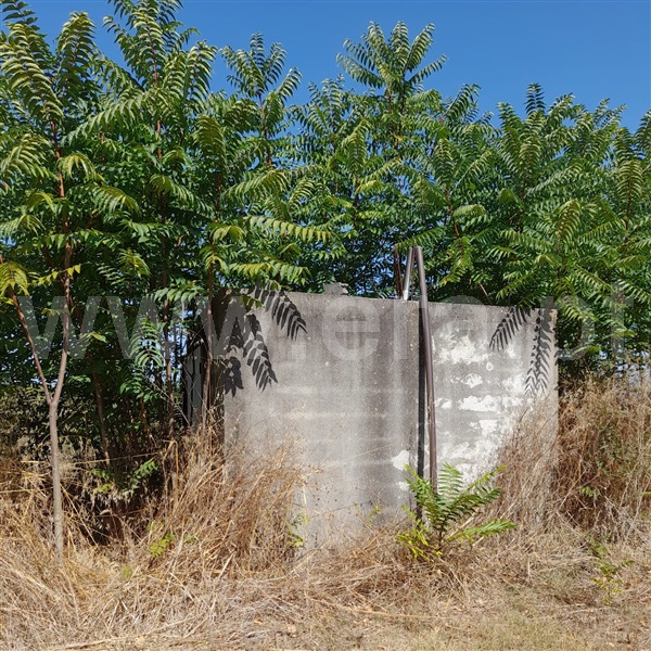 Terreno Misto  Torres Novas, Caveira - 1097368 - 7