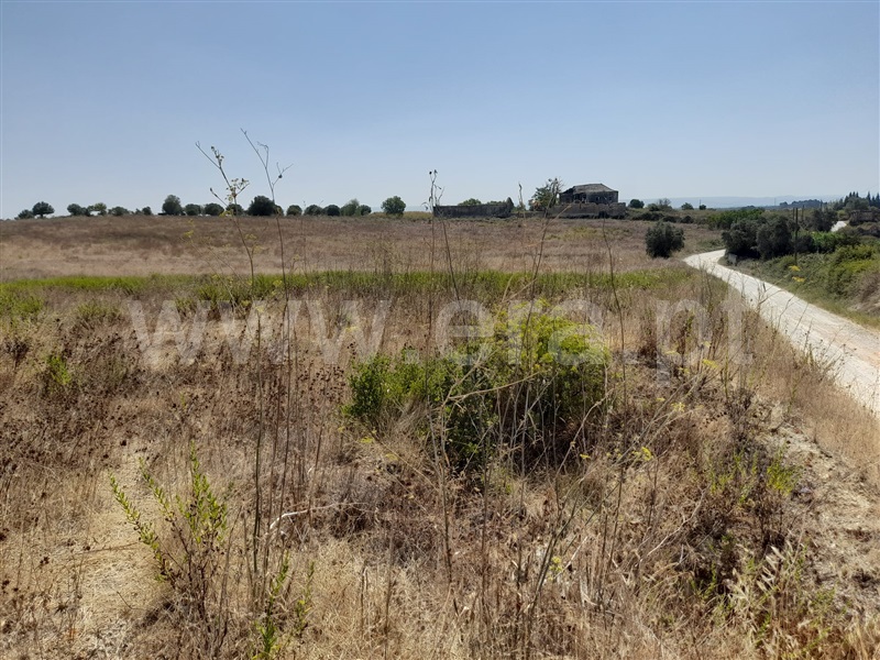 Terreno Misto  Torres Novas, Caveira - 1097368 - 8