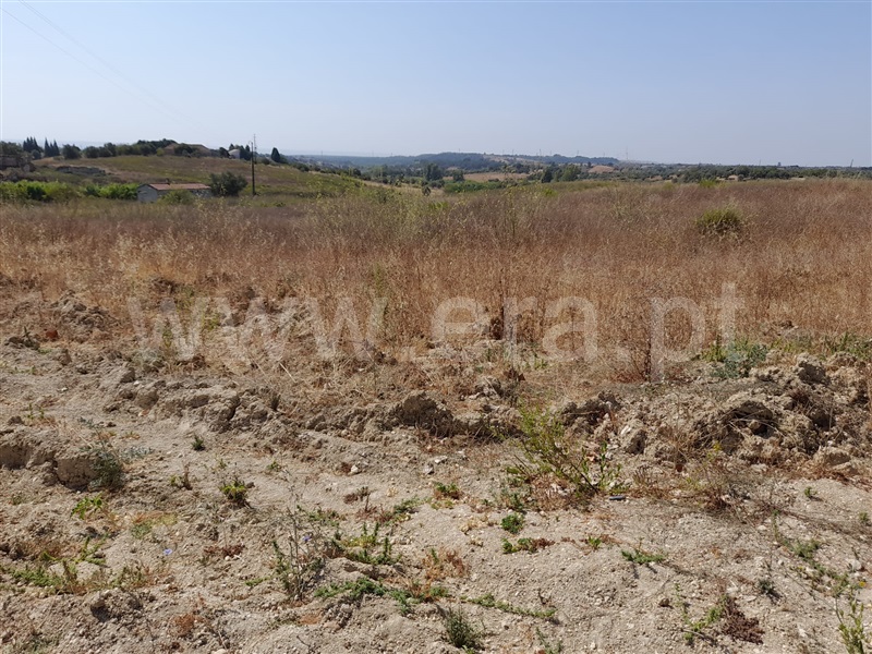 Terreno Misto  Torres Novas, Caveira - 1097368 - 9