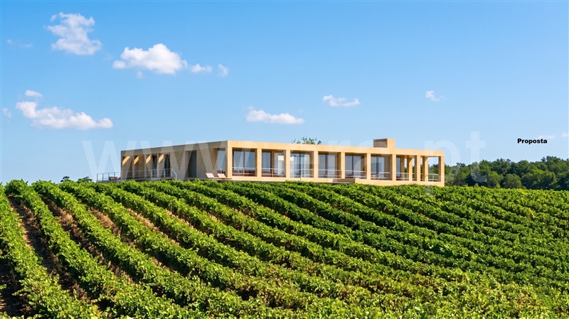 Terreno Misto / Torres Vedras, Freiria