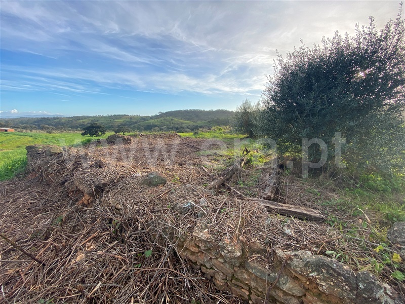 Terreno  Odemira, Boavista dos Pinheiros - 402862 - 24