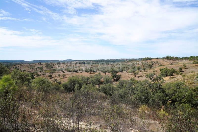 Terreno  Odemira, Boavista dos Pinheiros - 402862 - 4