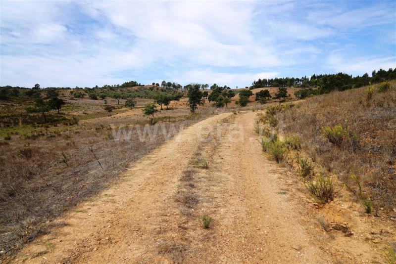 Terreno  Odemira, Boavista dos Pinheiros - 402862 - 5