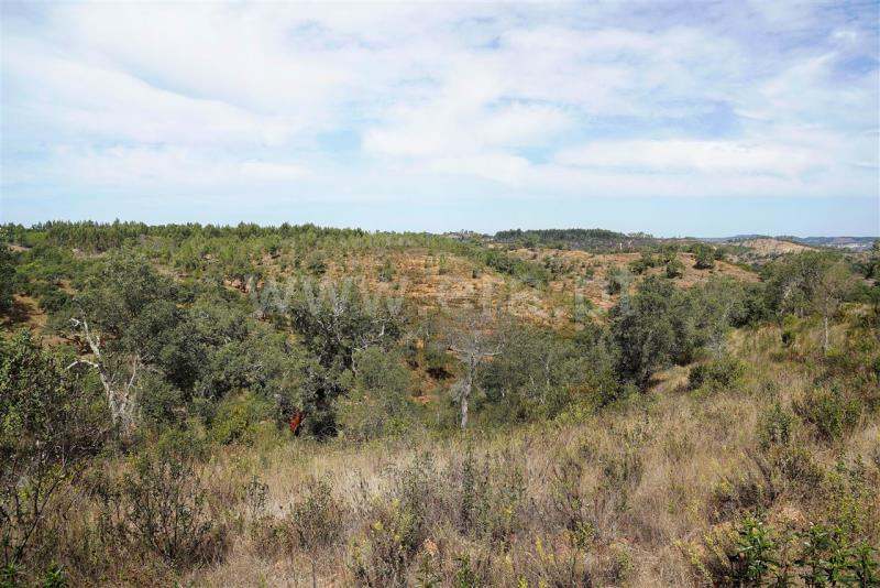Terreno  Odemira, Boavista dos Pinheiros - 402862 - 6