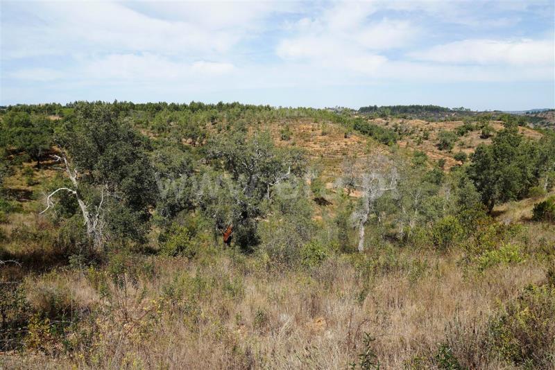 Terreno  Odemira, Boavista dos Pinheiros - 402862 - 8