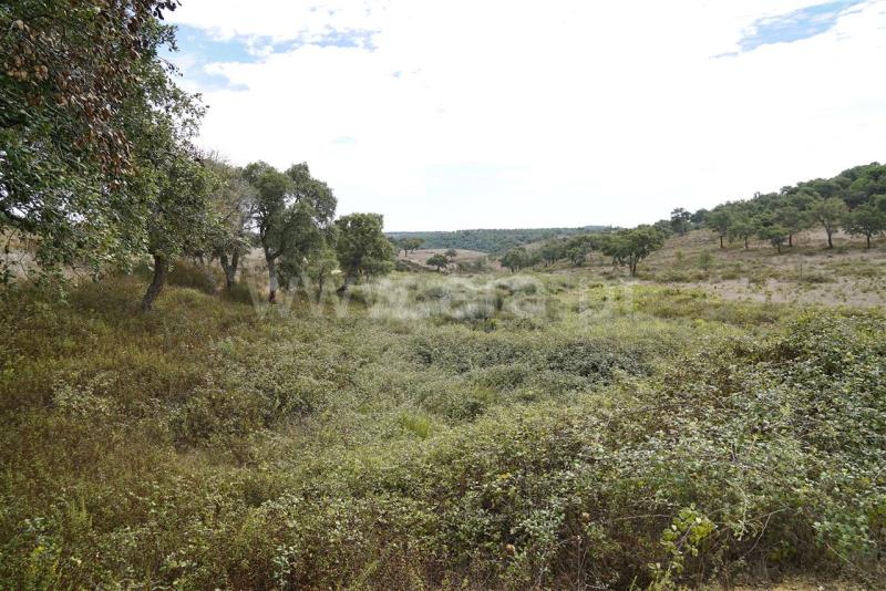 Terreno  Odemira, Boavista dos Pinheiros - 402862 - 9