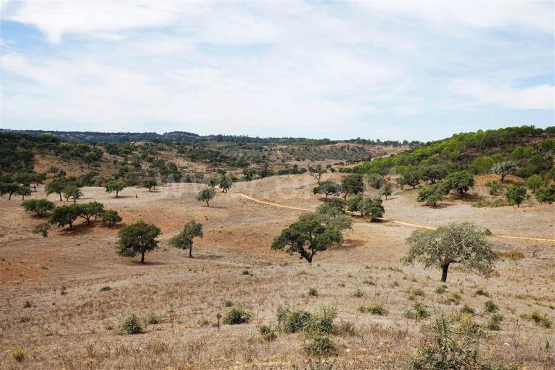 Terreno  Odemira, Boavista dos Pinheiros - 402862 - 12