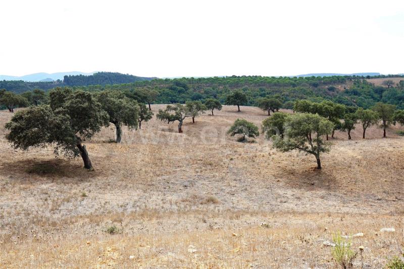 Terreno  Odemira, Boavista dos Pinheiros - 402862 - 16