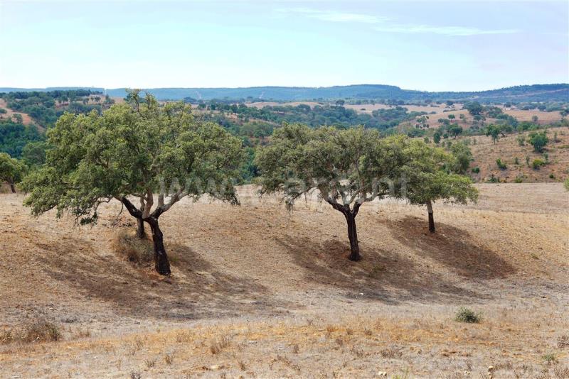 Terreno  Odemira, Boavista dos Pinheiros - 402862 - 18