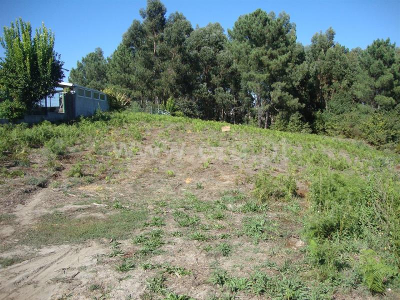 Terreno para Construção / Amarante, Freixo de Cima e de Baixo