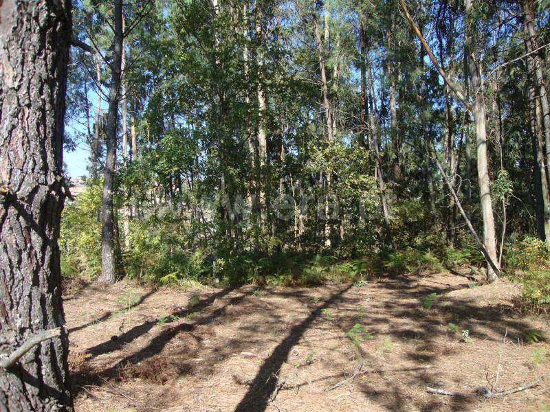 Terreno para Construção  Amarante, Freixo de Cima e de Baixo - 857024 - 5