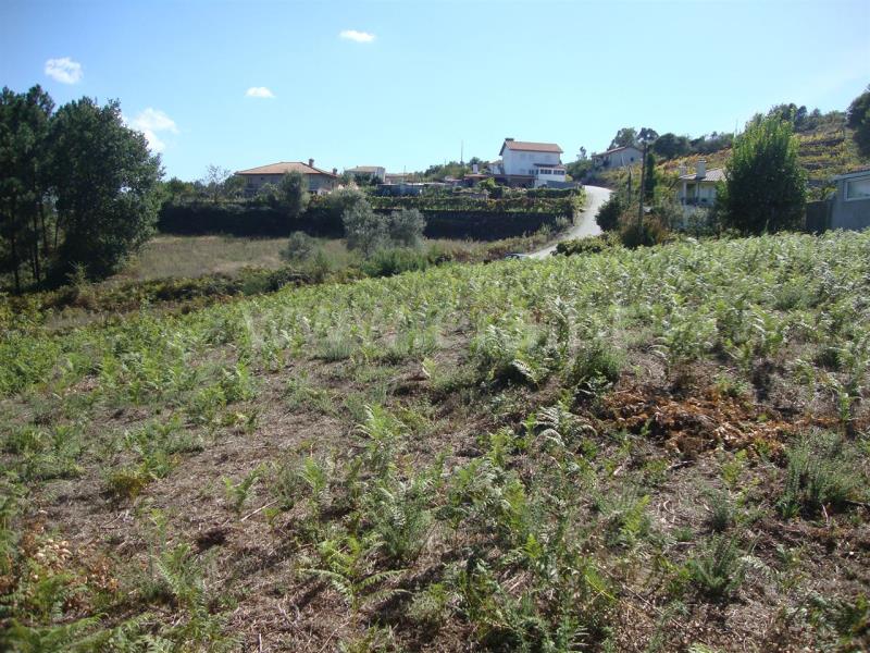 Terreno para Construção  Amarante, Freixo de Cima e de Baixo - 857024 - 6