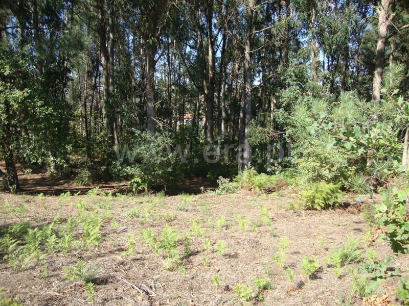 Terreno para Construção  Amarante, Freixo de Cima e de Baixo - 857024 - 7
