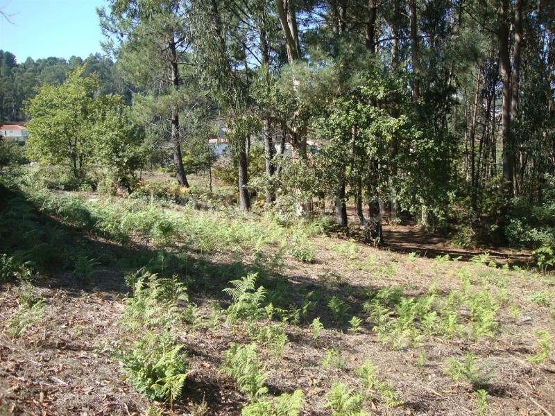 Terreno para Construção  Amarante, Freixo de Cima e de Baixo - 857024 - 8