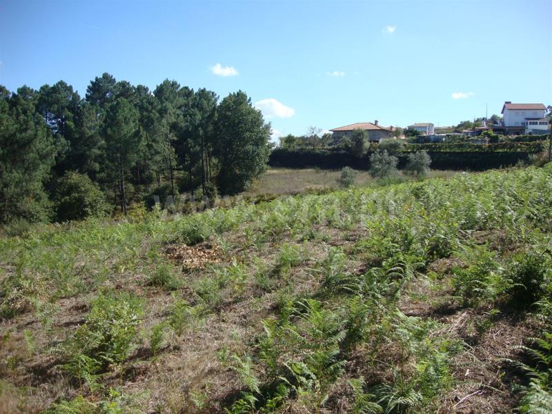 Terreno para Construção  Amarante, Freixo de Cima e de Baixo - 857024 - 10