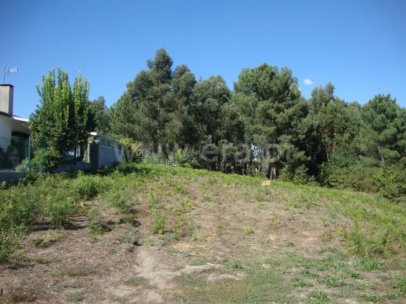Terreno para Construção  Amarante, Freixo de Cima e de Baixo - 857024 - 12