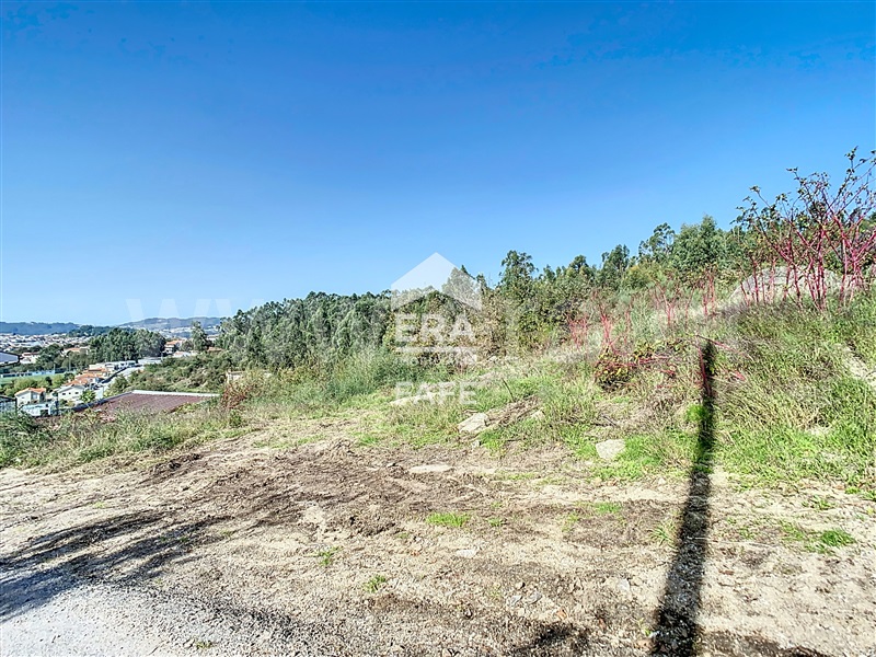 Terreno  Fafe, Antime e Silvares (São Clemente) - 1441998 - 7