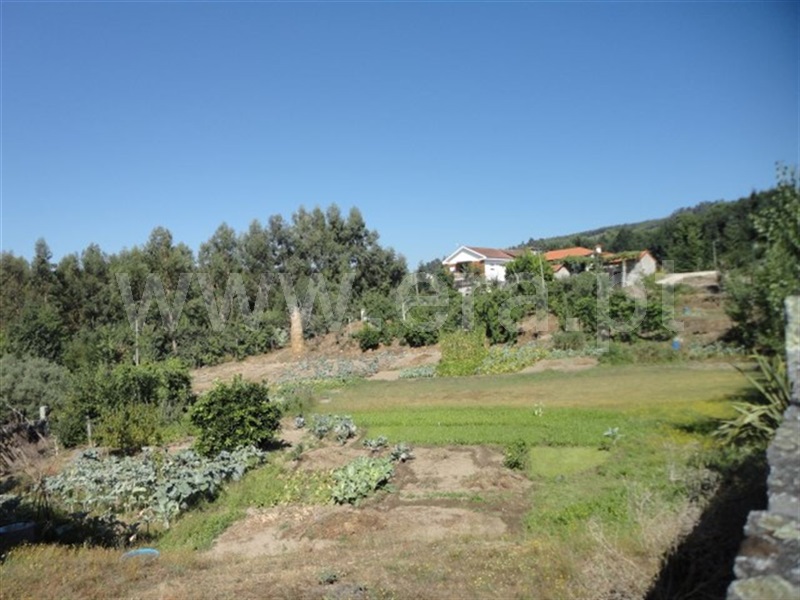Terreno para Construção / Fafe, Arões (São Romão)