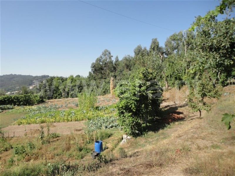 Terreno para Construção  Fafe, Arões (São Romão) - 944319 - 4
