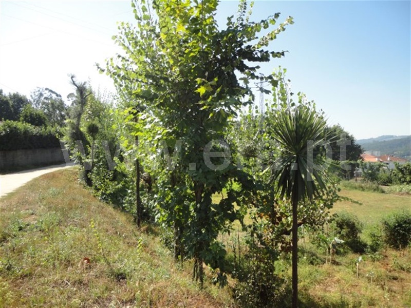Terreno para Construção  Fafe, Arões (São Romão) - 944319 - 7