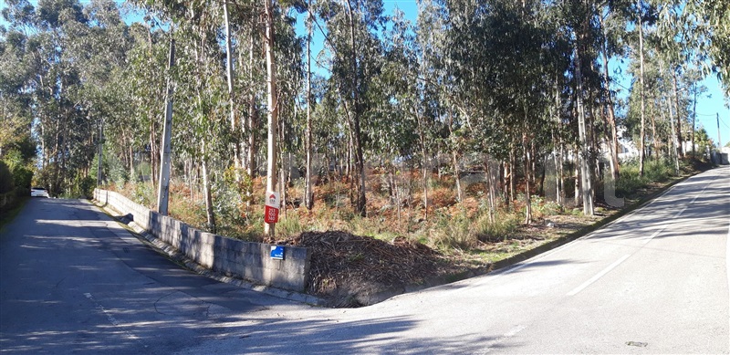 Terreno para Construção / Fafe, Passos
