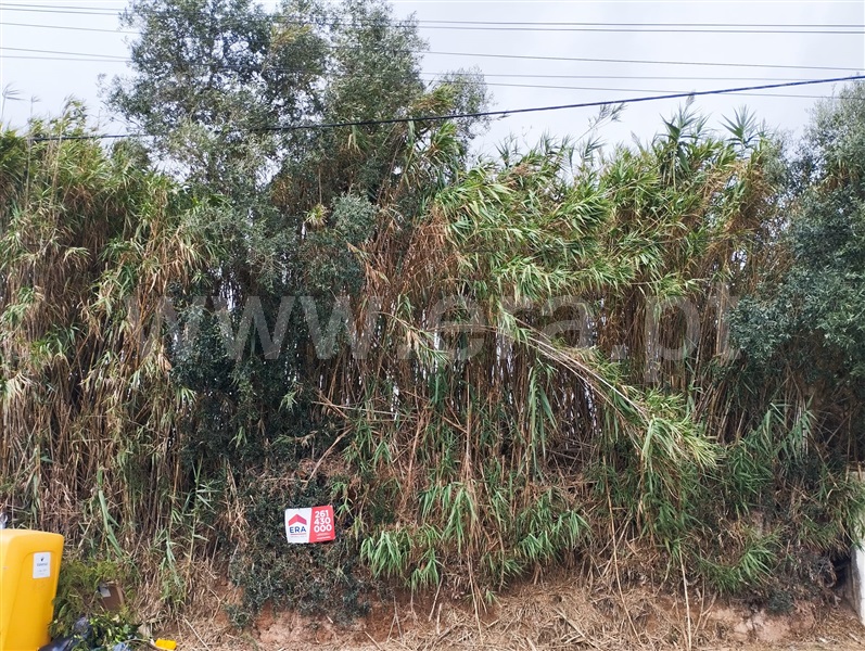 Terreno para Construção / Lourinhã, Lourinhã e Atalaia