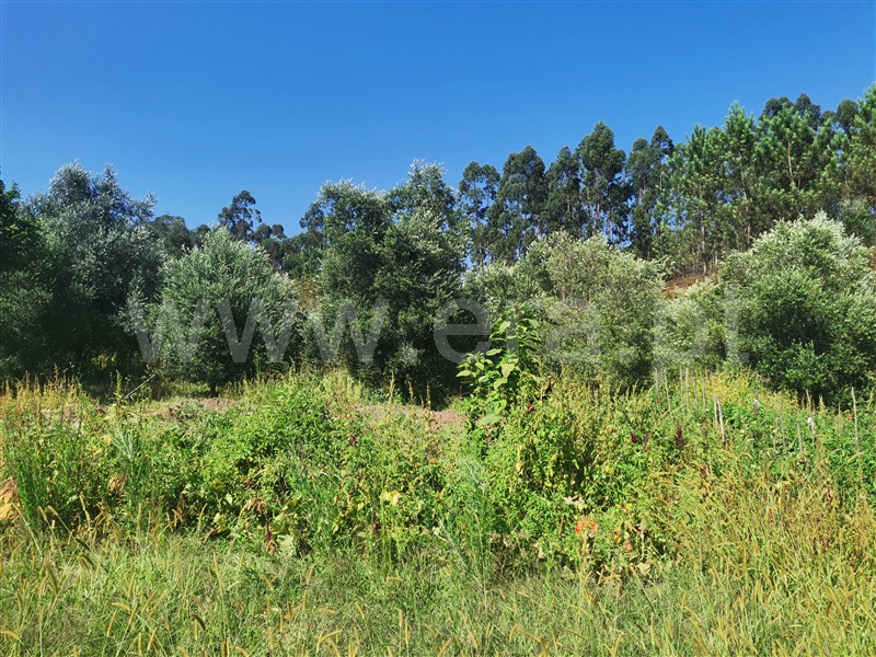 Terreno para Construção  Ourém, Espite - 1195315 - 3