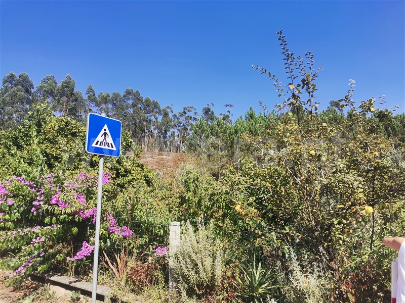 Terreno para Construção  Ourém, Espite - 1195315 - 5