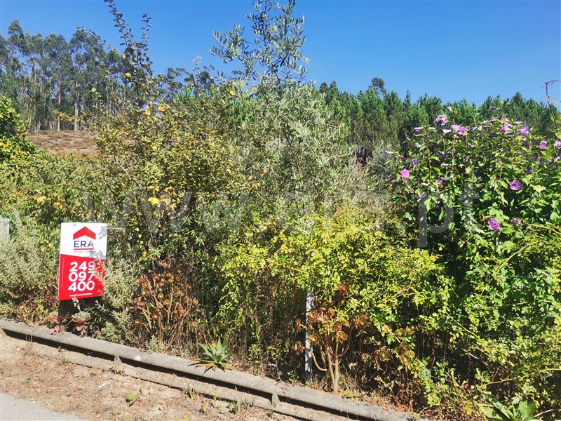 Terreno para Construção  Ourém, Espite - 1195315 - 6