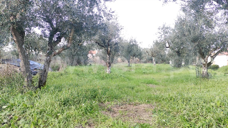 Terreno para Construção  Ourém, Freixianda, Ribeira do Fárrio e Formigais - 1143451 - 2