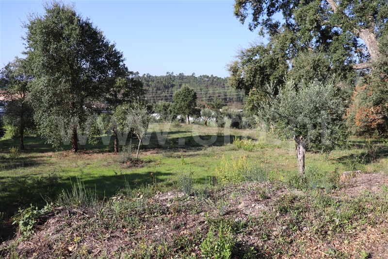 Terreno para Construção  Ourém, Nossa Senhora da Piedade - 1123372 - 4