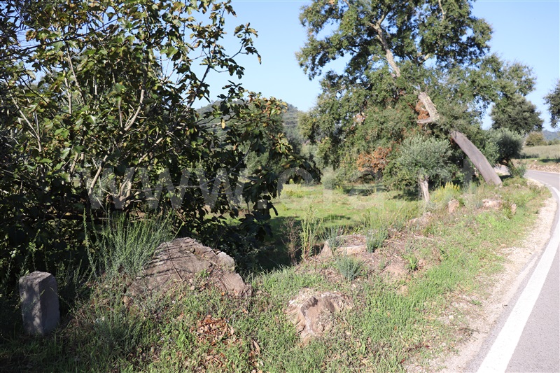 Terreno para Construção  Ourém, Nossa Senhora da Piedade - 1123372 - 5
