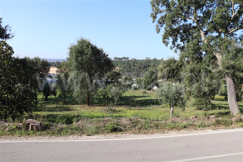 Terreno para Construção  Ourém, Nossa Senhora da Piedade - 1123372 - 6